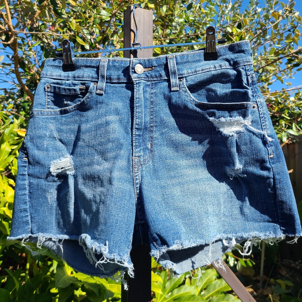 Signature by Levi Strauss High Rise Distressed Raw Hem Shorts Size 10